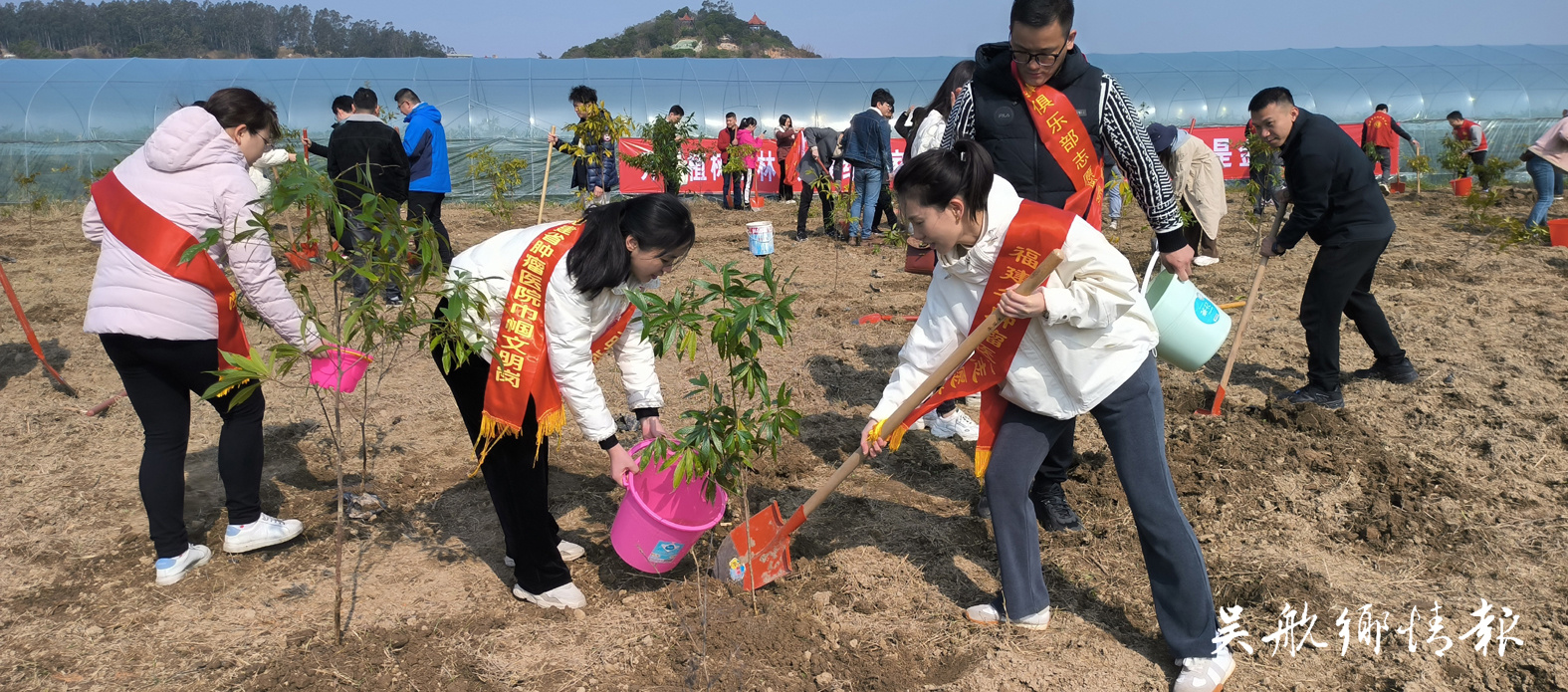 不負(fù)春光添新綠 全民植樹(shù)熱情高