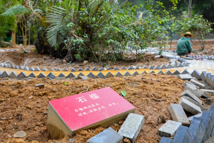 “五一”打卡長樂這座“寶藏”公園，能踏青、識草、辨藥……