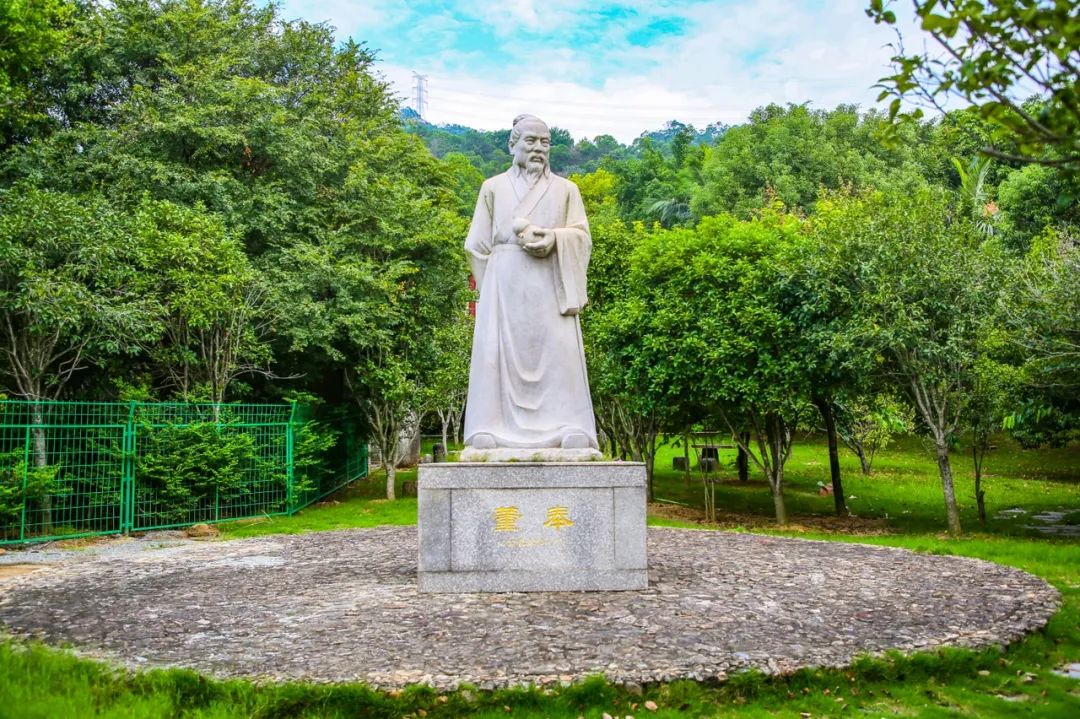 “五一”打卡長樂這座“寶藏”公園，能踏青、識草、辨藥……