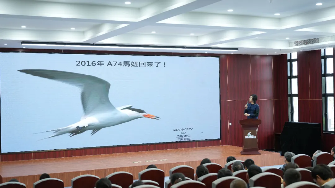 曾神秘消失63年！今年它們?nèi)缙诨氐介L樂“報到”！