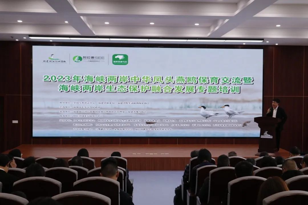 曾神秘消失63年！今年它們?nèi)缙诨氐介L樂“報到”！