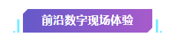 免費(fèi)參觀！超震撼！近100萬個(gè)積木顆粒，耗費(fèi)近7000個(gè)小時(shí)……