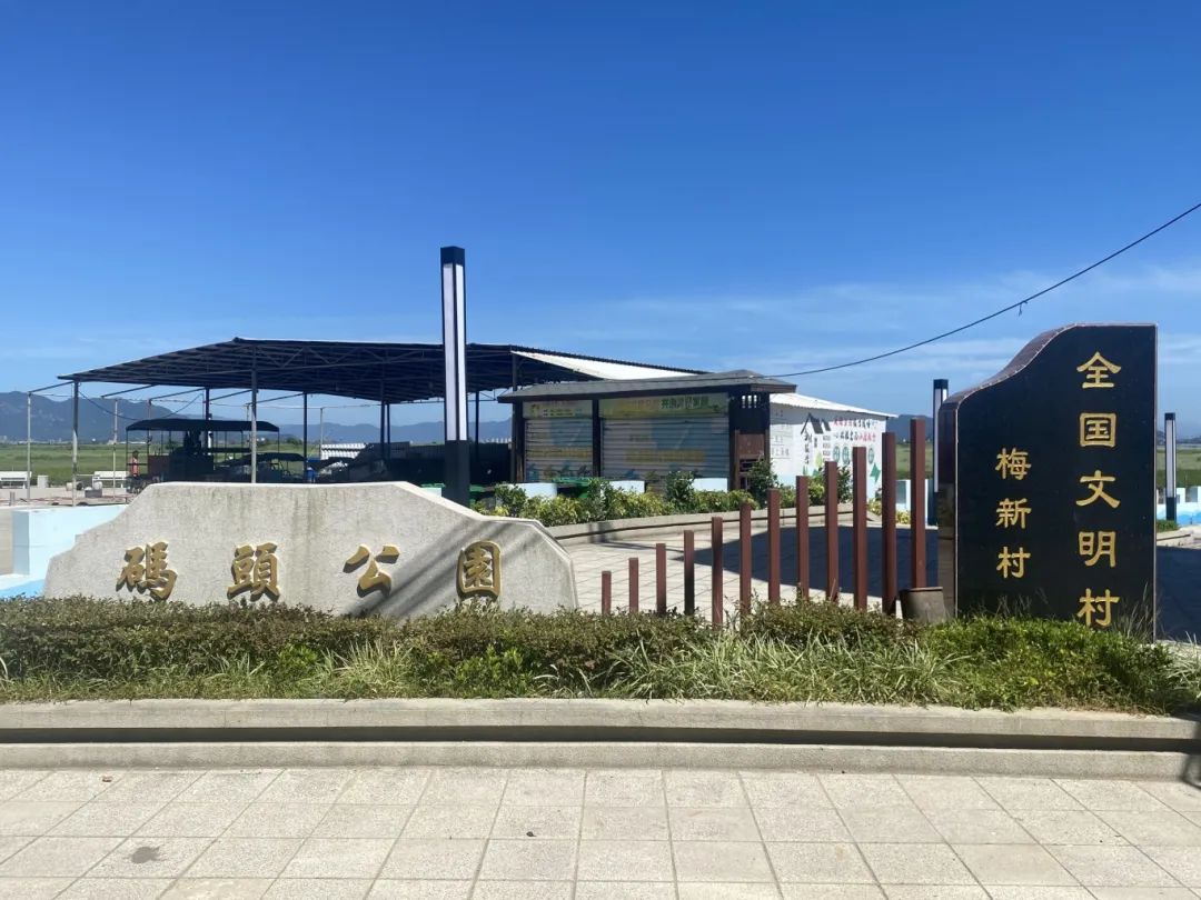這里完成驗(yàn)收！快來觀鳥、喝茶、吃蟶宴……
