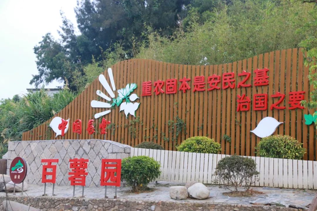 有喜事！長樂“國字號”榮譽(yù)+1