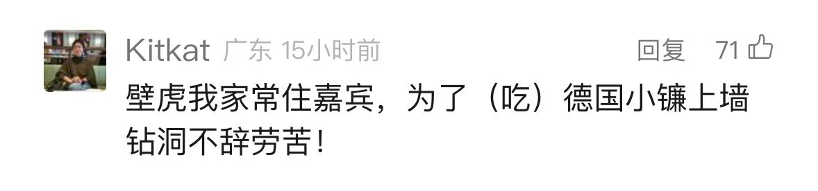 是真的！捉1只就違法！網友蒙了：在家經常碰到......