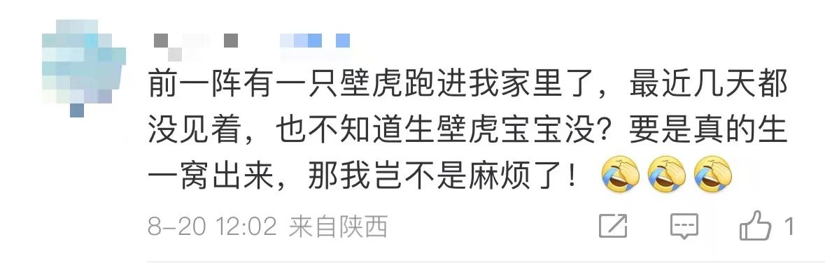 是真的！捉1只就違法！網友蒙了：在家經常碰到......
