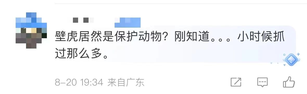 是真的！捉1只就違法！網友蒙了：在家經常碰到......