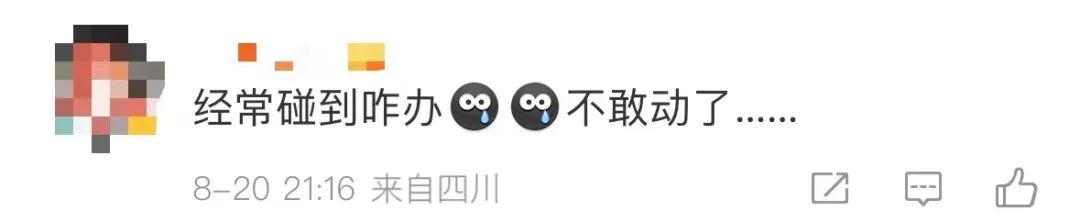 是真的！捉1只就違法！網友蒙了：在家經常碰到......