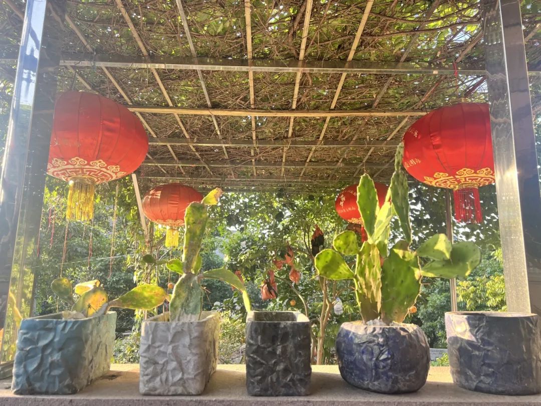 一眼愛上！長(zhǎng)樂這個(gè)村，超治愈…
