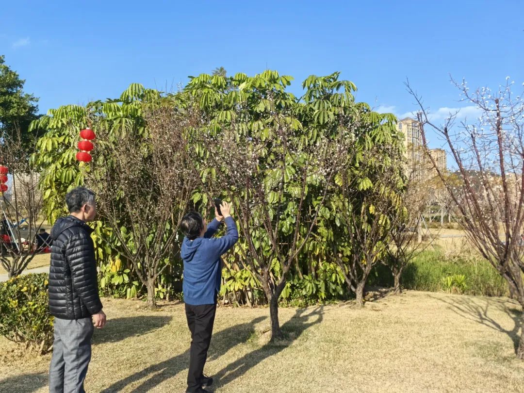 【網(wǎng)絡(luò)中國節(jié)·春節(jié)】點贊！這樣的長樂“美景”，你看了嗎？