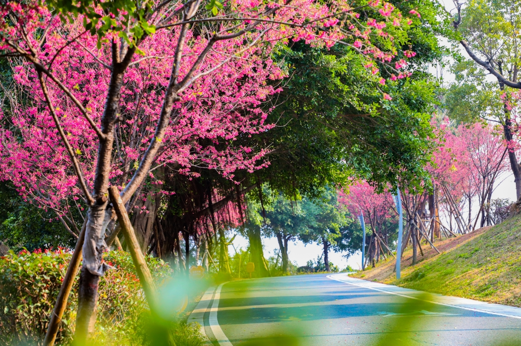 直逼28℃！長樂夏天要來了？未來幾天又……