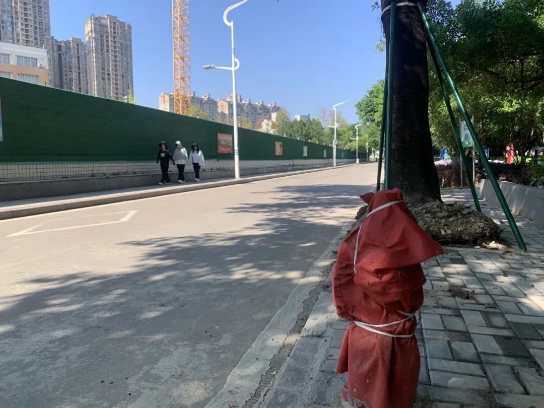 圍擋已拆除！恢復通行