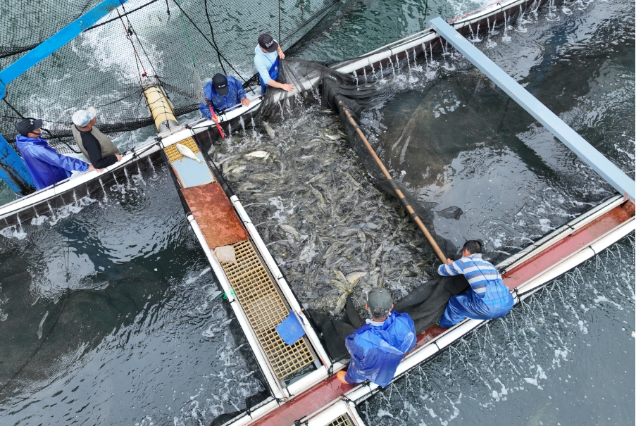 福州首個！“海上城堡”扎根長樂！
