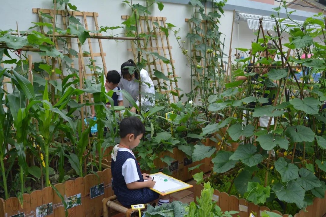 全國首批！長樂2所幼兒園入選