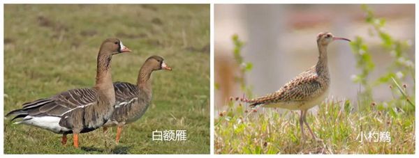 微信圖片_20180323003730.jpg