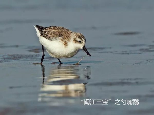 微信圖片_20180323003751.jpg