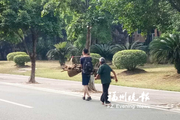 小伙幫老人挑擔 照片被傳上網(wǎng)絡引來許多網(wǎng)友點贊