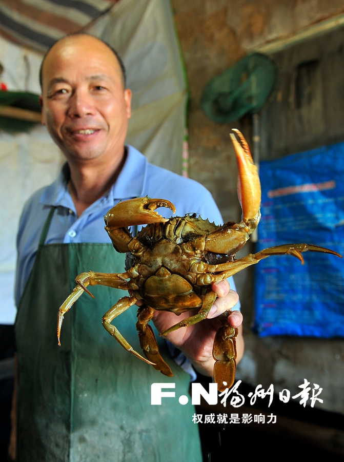 瑯岐紅蟳節(jié)今天16時(shí)至21時(shí)在瑯岐龍鼓度假村盛大舉行　亮點(diǎn)大劇透