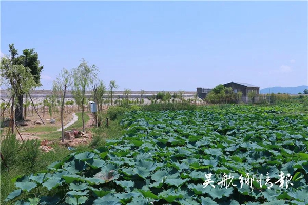 微信圖片_20180919083443.jpg