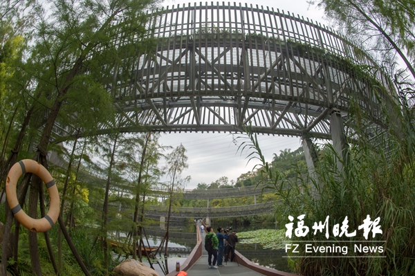 福道將配備完善照明系統(tǒng)　春節(jié)前實現(xiàn)“夜逛福道”