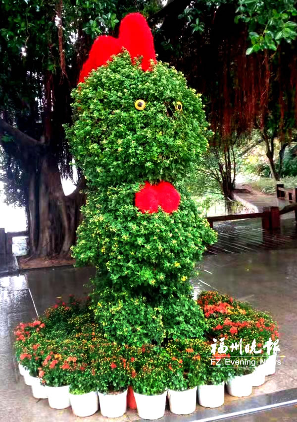 西湖左海菊展規(guī)模近三年最大  共16個(gè)景點(diǎn)后天開幕