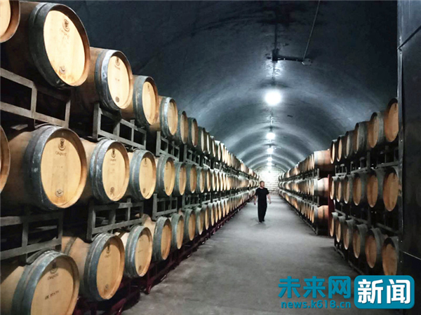 蓬萊常綠紅酒常香 看山東煙臺(tái)如何把握改革開放帶來的“色彩”機(jī)遇