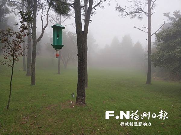 鼓嶺將全面提升綠化 同時(shí)對3座網(wǎng)紅民宿進(jìn)行改造