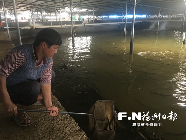 福州將推廣水產(chǎn)養(yǎng)殖全產(chǎn)業(yè)鏈閉合循環(huán)模式