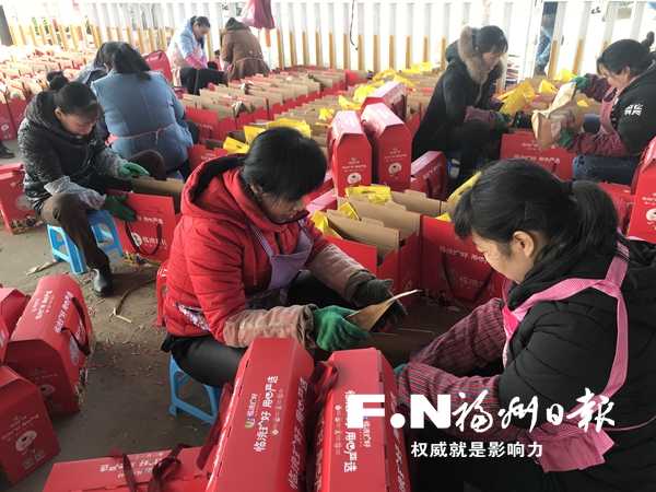 消費(fèi)扶貧愛(ài)心涌動(dòng)　定西年貨訂單爆棚