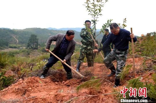 福建長汀水土流失治理精準(zhǔn)治理深層治理