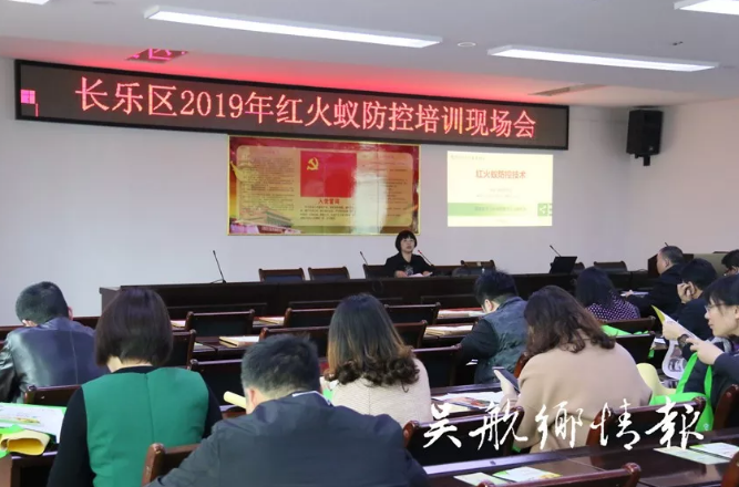 QQ圖片20190320080630.png
