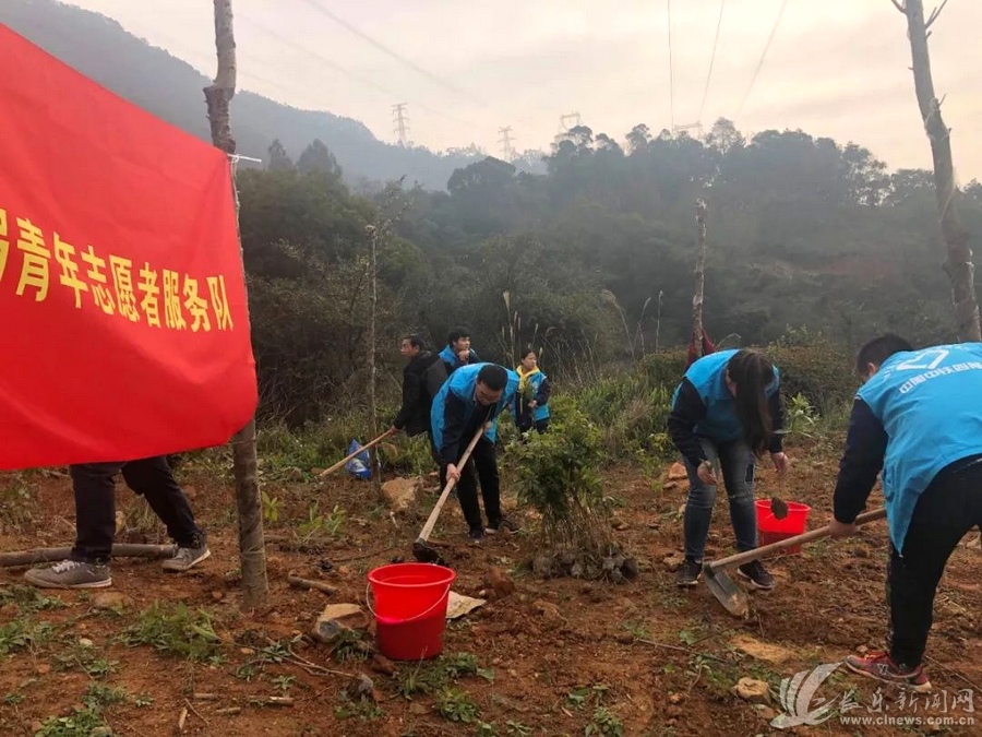 鶴上鎮(zhèn)植樹(shù)造林_看圖王.jpg