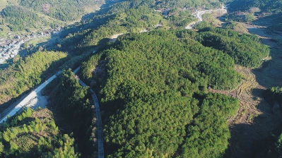 福建：實(shí)施綠色變革，推動(dòng)永續(xù)發(fā)展