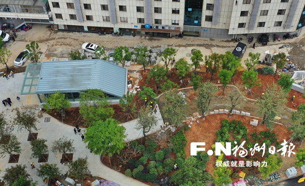 地鐵2號(hào)線沿線站點(diǎn)月底將添綠超3萬(wàn)平方米