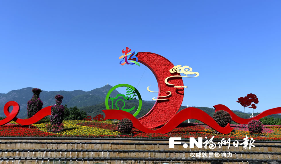 看東南 數(shù)字潮涌逐浪高