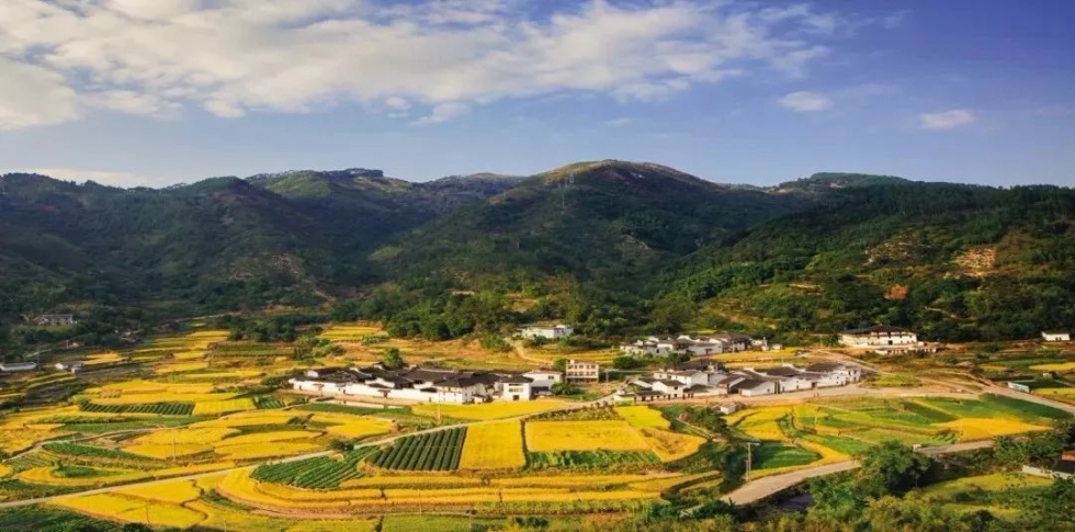 福建首批“金牌旅游村” 名單出爐！福州這3個(gè)村入選